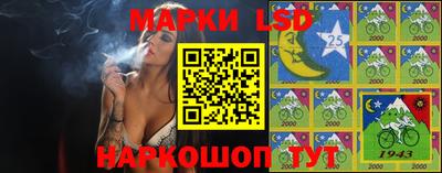 шишки Можга