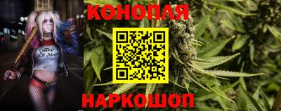прущие крисы Моздок